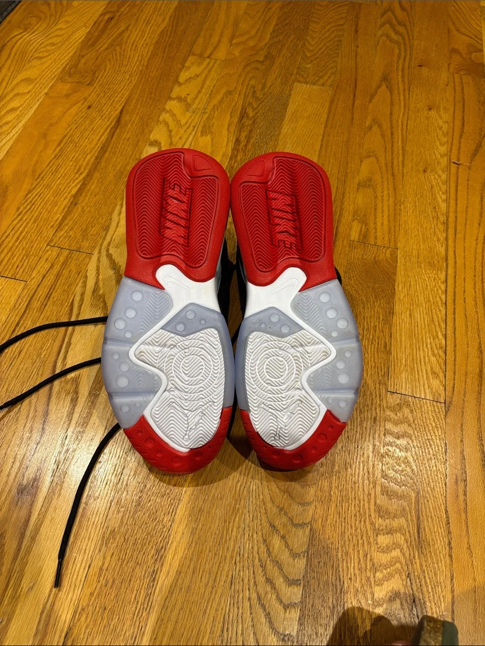 Nike Air Jordan Point Lane